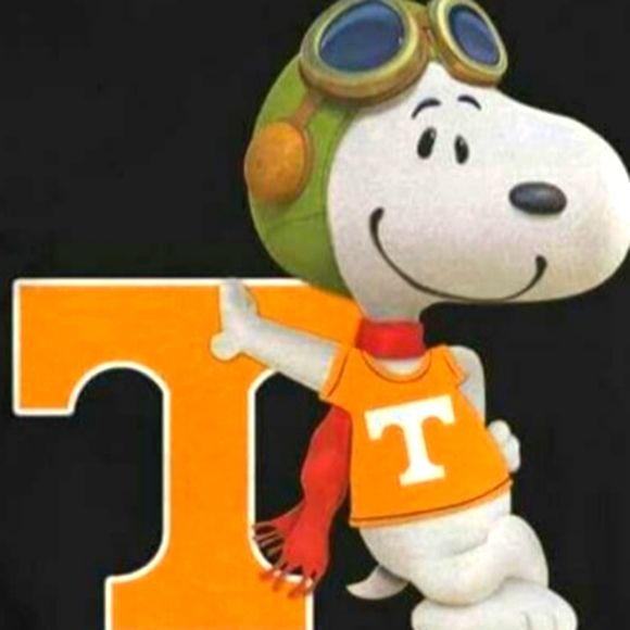 Meet your Posher, Amanda - Picture 1 of 1